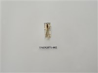 藏品(蟻蛉48)的圖片